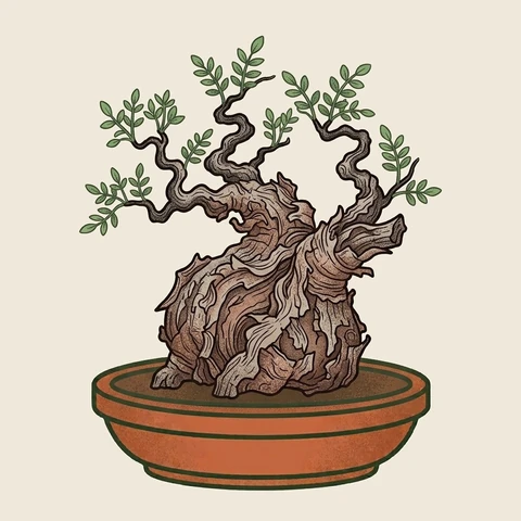 Illustration of a Commiphora caudex plant in a terracotta bowl